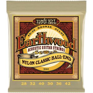 Ernie Ball Earthwood