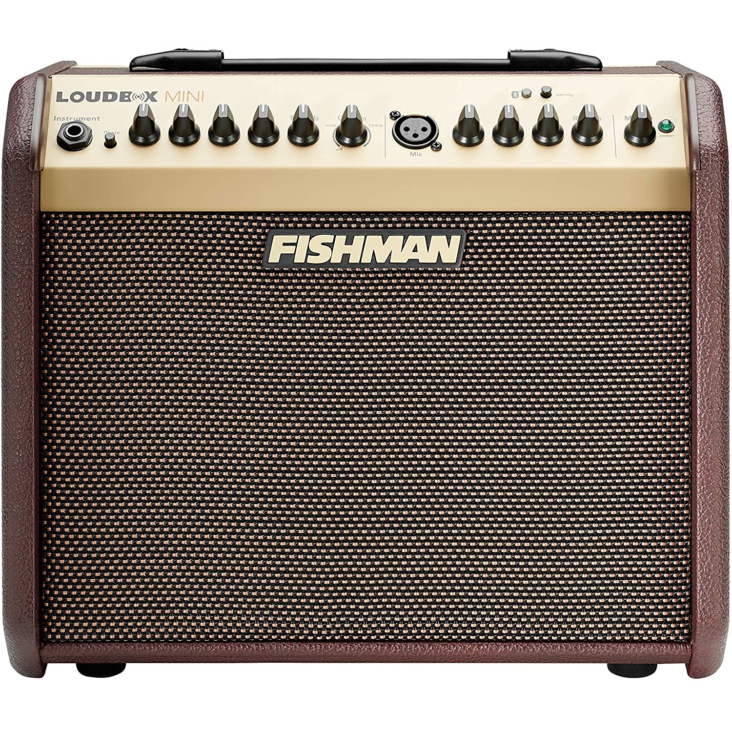 Best Acoustic Guitar Amps 2022 Reviews & Buying Guide