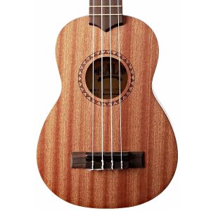 Kala Best Ukulele For Beginner