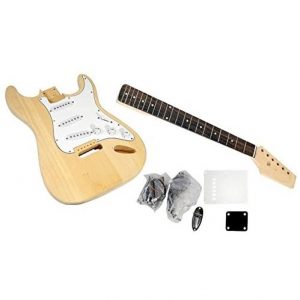 Pro Pgekt Best DIY Guitar Kit