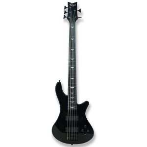 Sleek Black 5 String Electric Maple