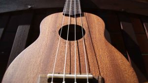 best ukuleles for beginners